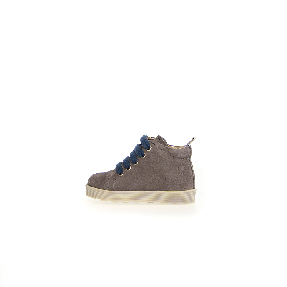  - ["Falcotto","Kids","Nuovo","Polacco","Scarpe","Toddler"] - Falcotto Evaert Zip Suede Anthracite Azure - Lupis SRL