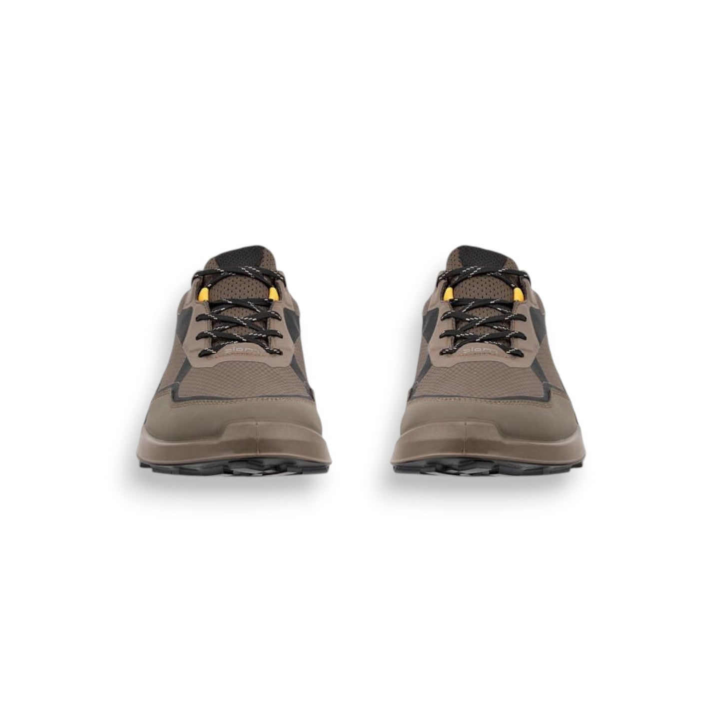  - ["Ecco","FW25","Scarpe","Scarpe sportive","Uomo"] - Sneakers Ecco Biom 2.1 X Mtn M Gtx Dark Clay Black 82392461293 - Lupis SRL