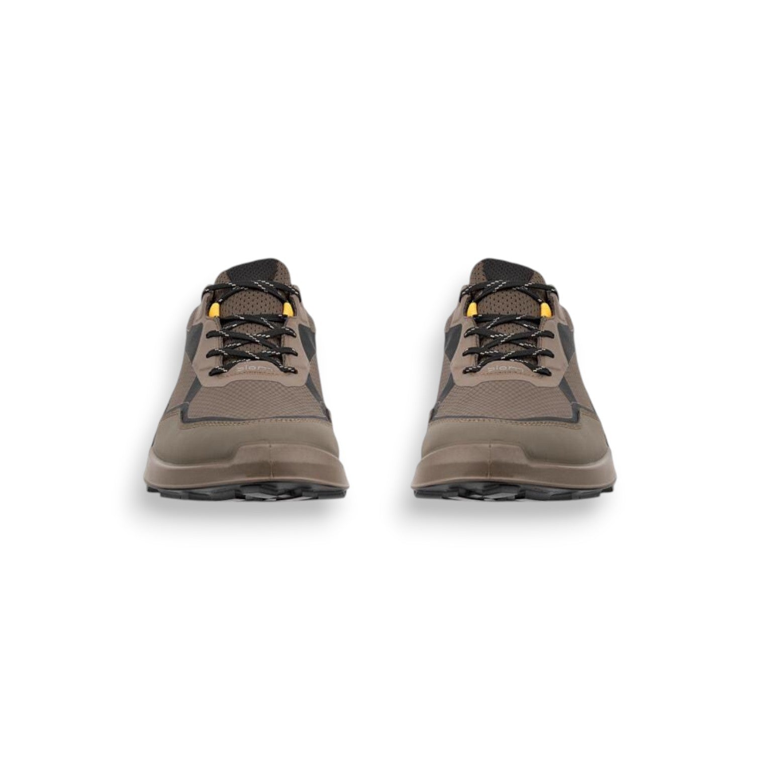  - ["Ecco","FW25","Scarpe","Scarpe sportive","Uomo"] - Sneakers Ecco Biom 2.1 X Mtn M Gtx Dark Clay Black 82392461293 - Lupis SRL