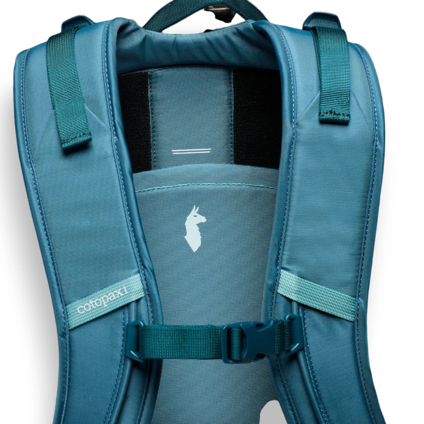  - ["Accessori","Cotopaxi","Donna","FW25","NOEAN","Unisex","Uomo","Zaini"] - Zaini Unisex Cotopaxi Allpa 50L Adventure Travel Pac Nylon Blue Spruce And Abyss S25492U1197 - Lupis SRL