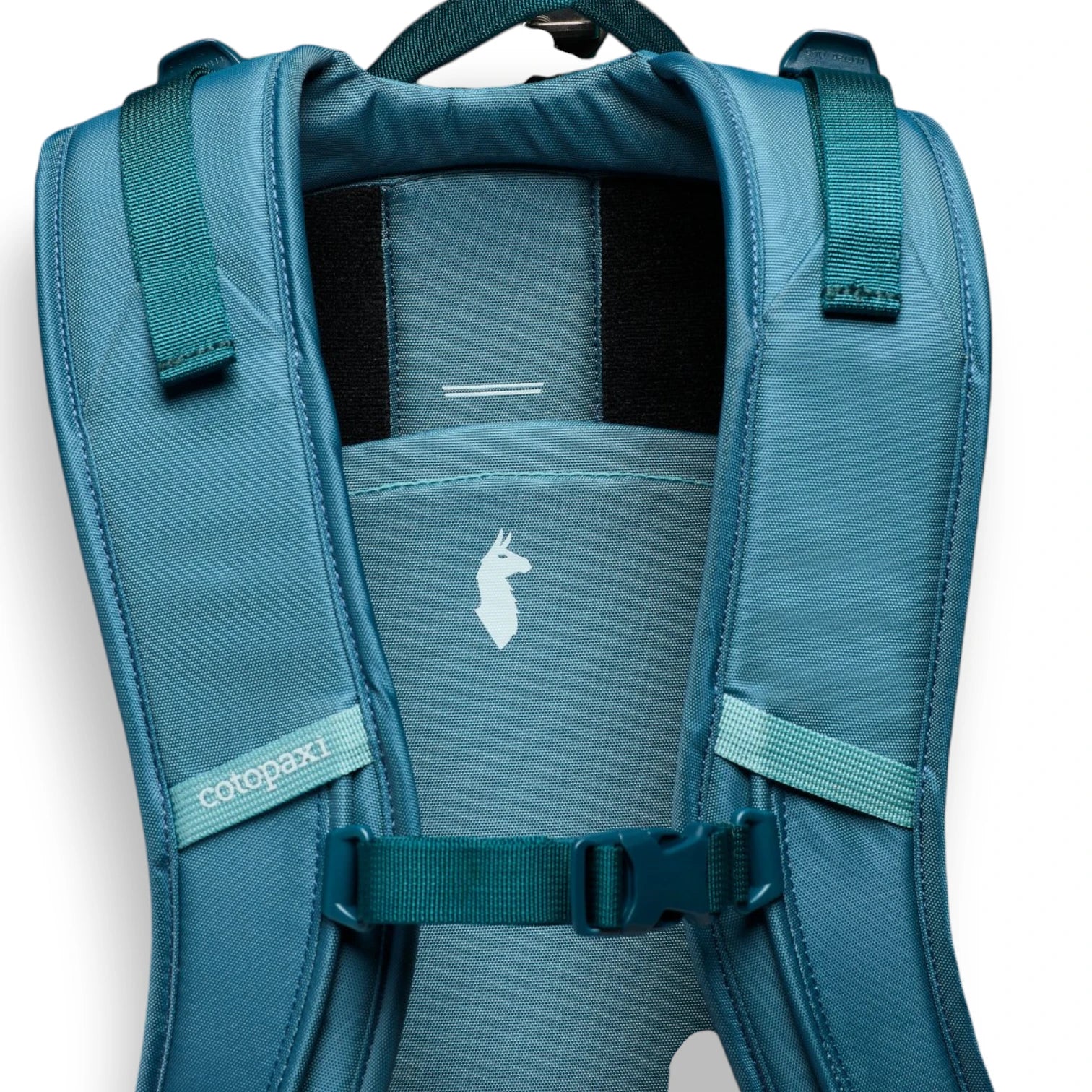  - ["Accessori","Cotopaxi","Donna","FW25","NOEAN","Unisex","Uomo","Zaini"] - Zaini Unisex Cotopaxi Allpa 50L Adventure Travel Pac Nylon Blue Spruce And Abyss S25492U1197 - Lupis SRL